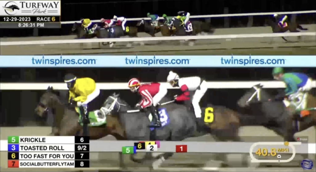 Toasted Roll runs on Dec 29, 2024 at Turfway